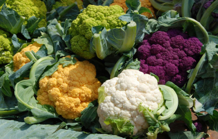 Il passaggio da Vegano ad Alcalino