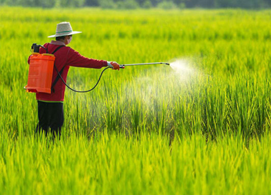 Cosa dobbiamo eliminare, secondo voi, il glutine o il glifosato?