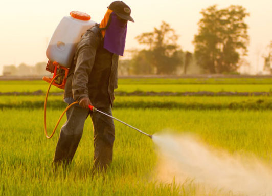 Dopo il glifosato ora è allarme boscalid: “È tossico per l’uomo”