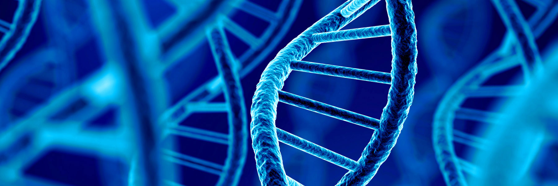 Acqua Alcalina Ionizzata a Basso Residuo Fisso protegge il DNA dallo Stress Ossidativo